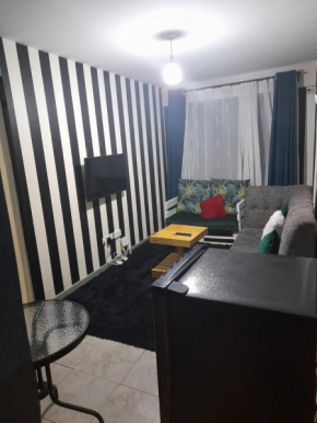 Executive 2 bedroom house-Trm/Thika Road(+254706119521)
